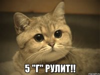  5 "Г" РУЛИТ!!