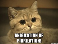  Anigilation of pidrilation!