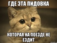 Где эта пидовка которая на поезде не ездит