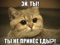 Эй, ты! Ты не принёс еды?!