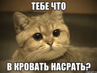 Тебе что в кровать насрать?