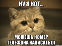 ну я кот... можешь номер телефона написать)))