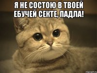 я не состою в твоей ебучей секте, падла! 