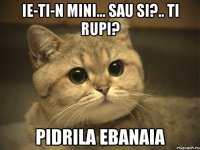 IE-TI-N MINI... SAU SI?.. TI RUPI? PIDRILA EBANAIA