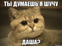 ТЫ ДУМАЕШЬ Я ШУЧУ ДАША?