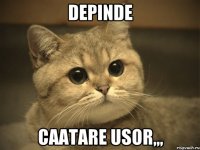 depinde caatare usor,,,