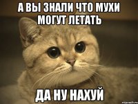 а вы знали что мухи могут летать Да Ну НАХУЙ