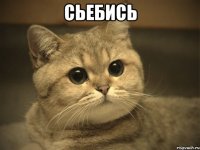 Сьебись 