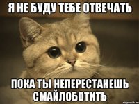 Я не буду тебе отвечать пока ты неперестанешь смайлоботить