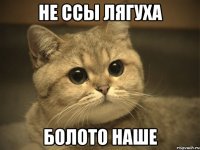 Не ссы лягуха болото наше