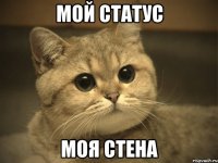 мой статус моя стена