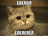 еоелол елелелел