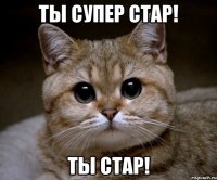 Ты супер стар! Ты стар!