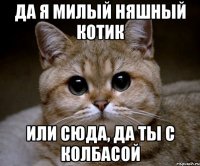 Да я милый няшный котик или сюда, да ты с колбасой