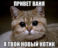 Привет Ваня я твой новый котик