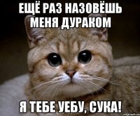 ещё раз назовёшь меня дураком я тебе уебу, сука!