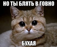 но ты блять в говно бухая