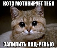 Котэ мотивирует тебя запилить код-ревью