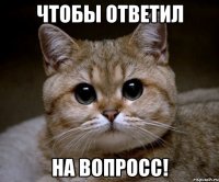 чтобы ответил на вопросс!