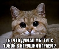  Ты что думал мы тут с тобой в игрушки играем?