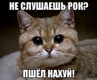 Не слушаешь рок? Пшёл нахуй!