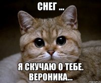 Снег ... Я скучаю о тебе. Вероника...