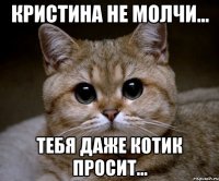 Кристина не молчи... тебя даже котик просит...