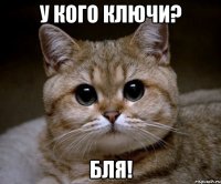 У кого ключи? Бля!