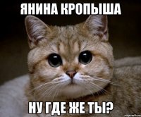 Янина Кропыша Ну где же ты?