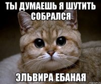 Ты думаешь я шутить собрался эльвира ебаная