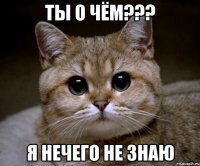 Ты о чём??? Я нечего не знаю