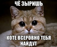 Чё зыришь Коте всеровно тебя найдут