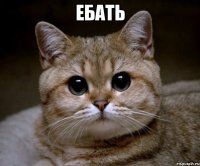 ебать 