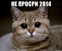 не просри 2014 