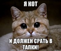 Я Кот и должен срать в тапки!