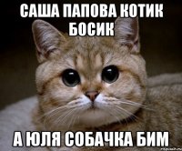 саша папова котик босик а юля собачка бим