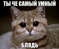 ты че самый умный блядь