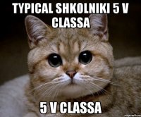 TYPICAL SHKOLNIKI 5 V СLASSA 5 V СLASSA