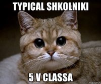 TYPICAL SHKOLNIKI 5 V СLASSA