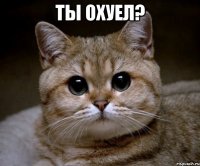 ты охуел? 