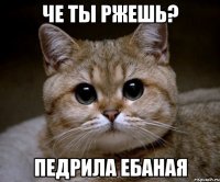 Че ты ржешь? Педрила Ебаная