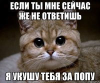 Если ты мне сейчас же не ответишь Я укушу тебя за попу