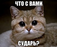 что с вами сударь?