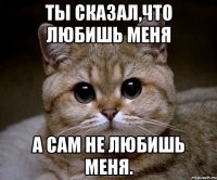 ты сказал,что любишь меня а сам не любишь меня.