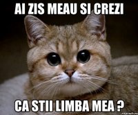 ai zis meau si crezi ca stii limba mea ?