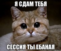 я сдам тебя сессия ты ебаная