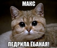 Макс Педрила ёбаная!