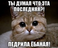 Ты думал что эта последняя?! педрила ёбаная!