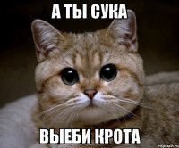 А ты сука Выеби крота