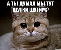 А ты думал мы тут шутки шутим? 